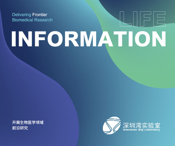打造專業品牌名片設計，助力上海企業品牌營銷